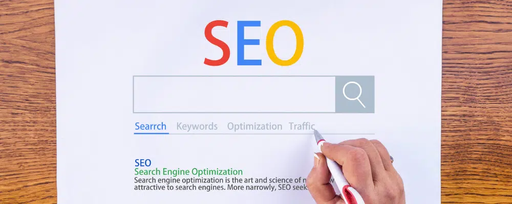 Increase Your Mold Removal Company's Lead Flow through Effective SEO